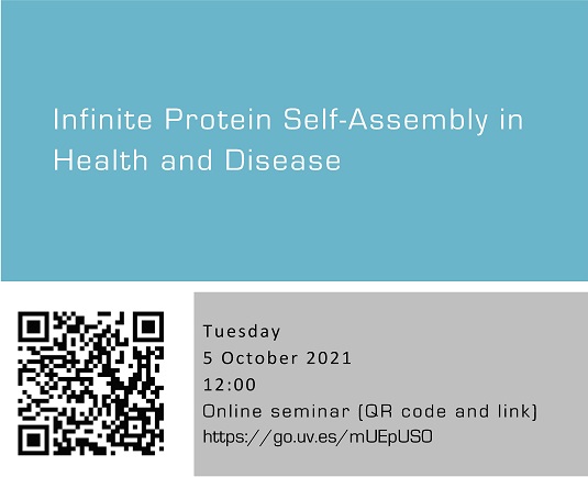 Infinite Protein Self-Assembly in Health and Disease